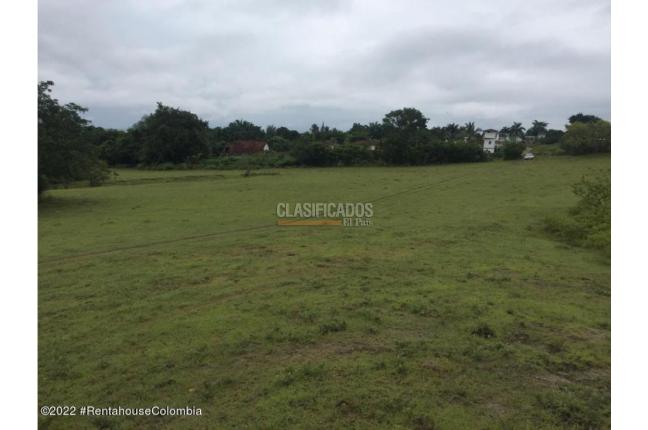 Lotes, Venta, Carmen de Apicala - $900.000.000