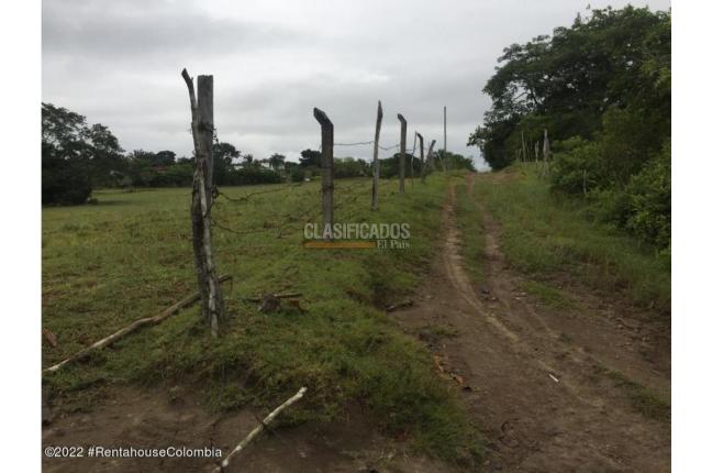 Lotes, Venta, Carmen de Apicala - $900.000.000