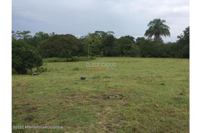 Lotes, Venta, Carmen de Apicala - $900.000.000