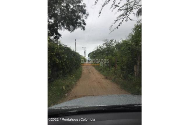 Lotes, Venta, Carmen de Apicala - $900.000.000