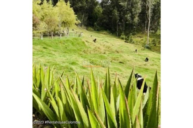 Lotes, Venta, Guasca - $2.200.000.000