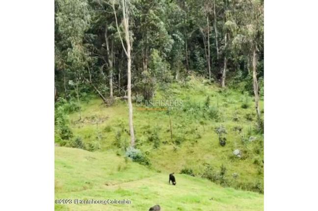 Lotes, Venta, Guasca - $2.200.000.000