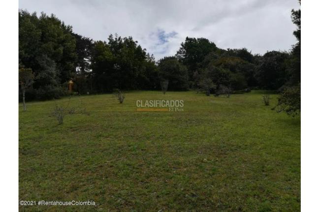 Lotes, Venta, La Calera - $1.600.000.000