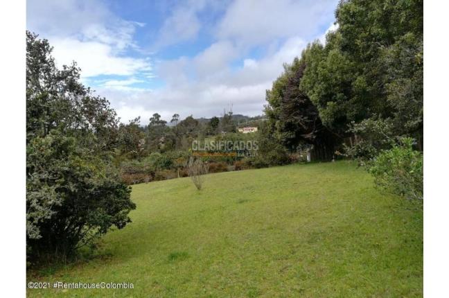 Lotes, Venta, La Calera - $1.600.000.000