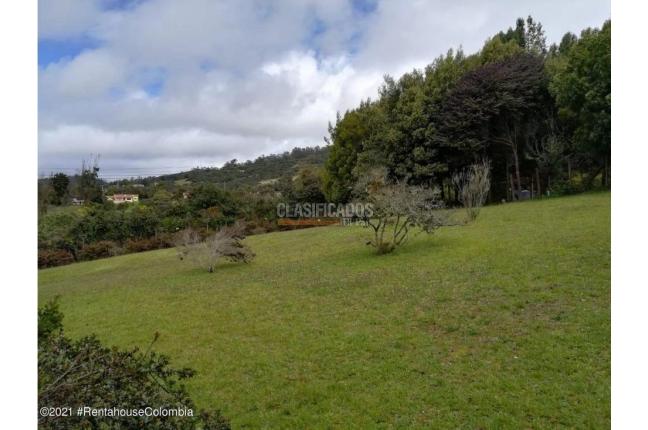 Lotes, Venta, La Calera - $1.600.000.000