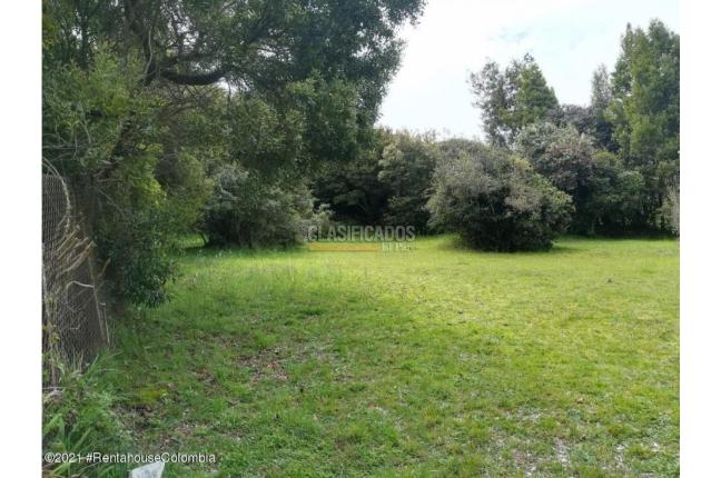 Lotes, Venta, La Calera - $1.600.000.000