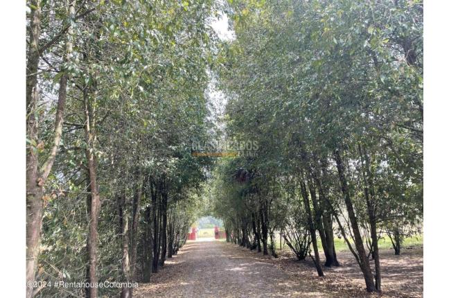 Apartamentos, Alquiler, La Calera - $1.800.000