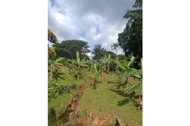 Fincas y Casas Campestres, Venta, La Cumbre - $1.100.000.000