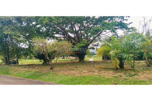 Lotes, Venta, Jamundí - $398.000.000