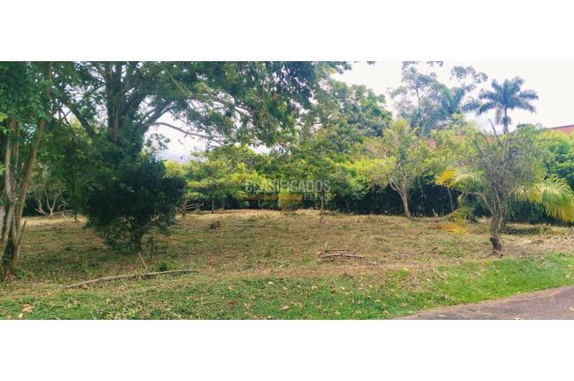 Lotes, Venta, Jamundí - $398.000.000