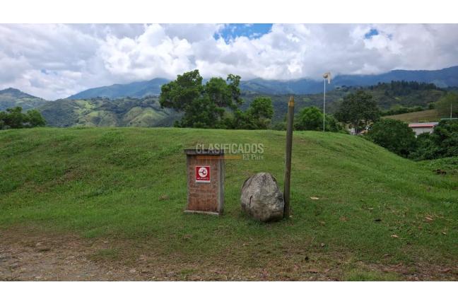 Lotes, Venta en Palmira