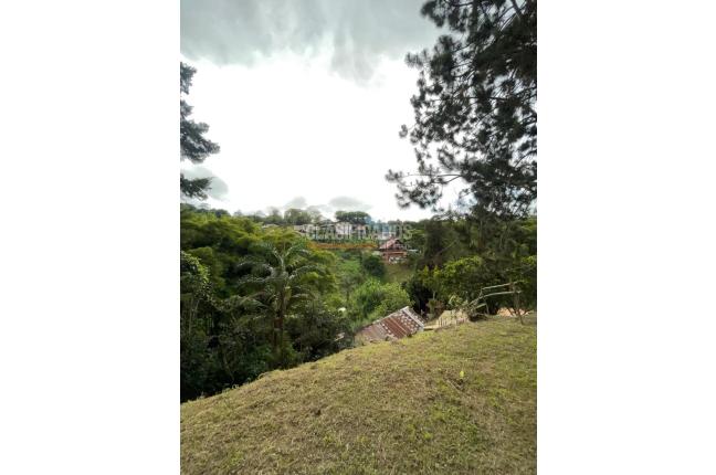 Lotes, Venta, Dagua - $300.000.000