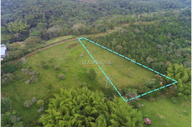 Lotes, Venta en La Buitrera