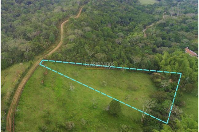 Lotes, Venta en La Buitrera