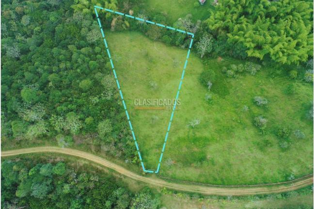 Lotes, Venta en La Buitrera