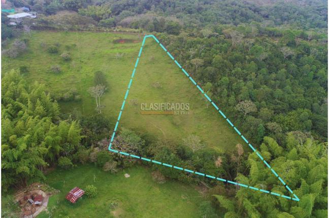 Lotes, Venta, La Buitrera - $420.000.000