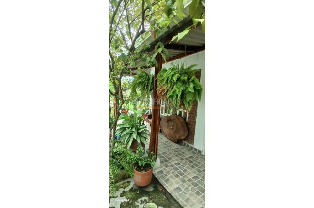 Fincas y Casas Campestres, Venta, Palmira - $450.000.000