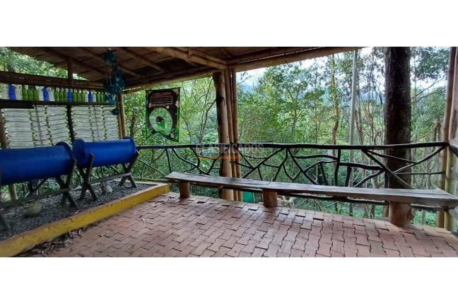 Edificios, Venta, Dapa - $2.299.000.000