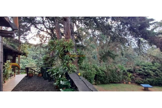 Edificios, Venta, Dapa - $2.299.000.000