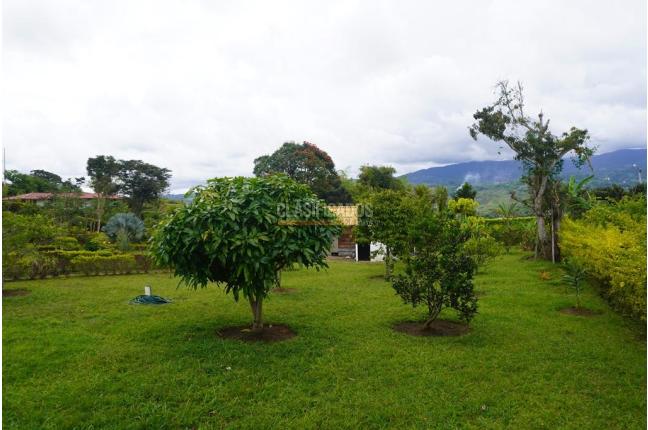 Fincas y Casas Campestres, Venta, Dagua - $830.000.000