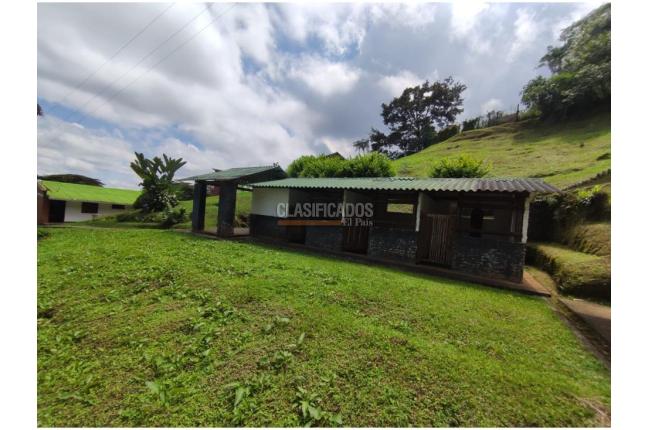 Fincas y Casas Campestres, Venta en Dapa