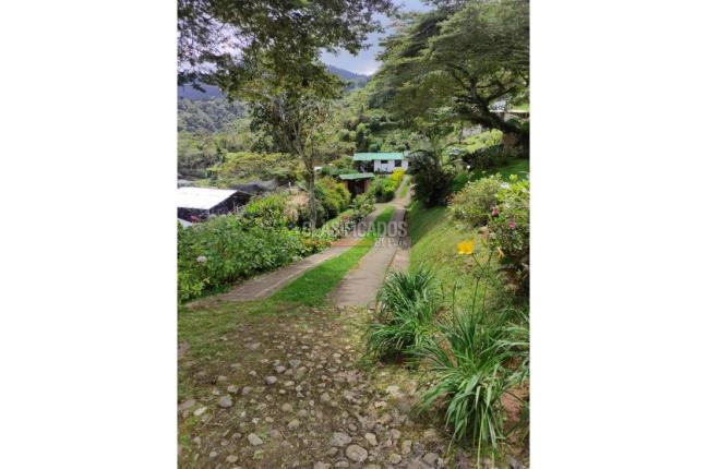 Fincas y Casas Campestres, Venta en Dapa