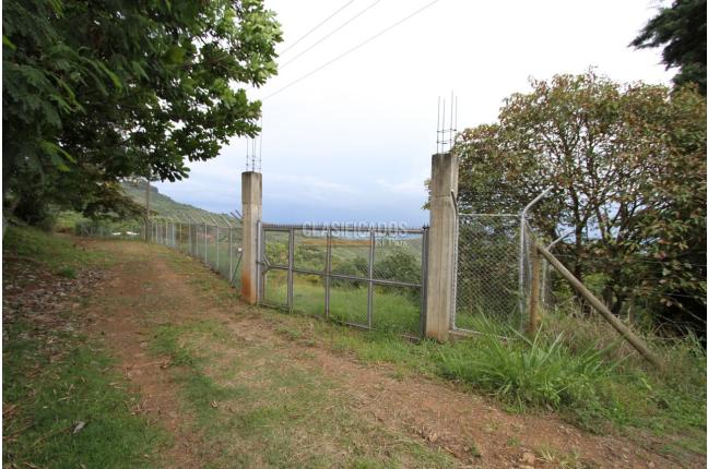 Lotes, Venta en Dapa