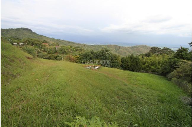 Lotes, Venta en Dapa