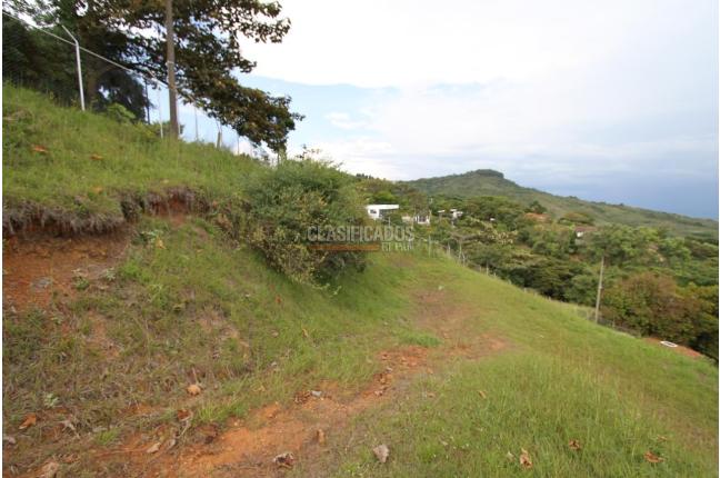 Lotes, Venta en Dapa