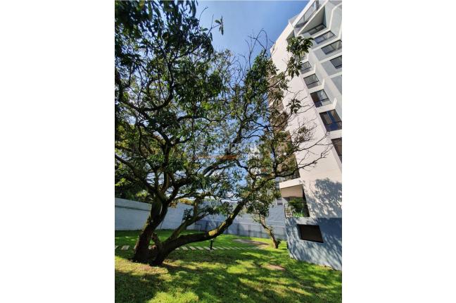 Apartamentos, Venta en Cuarto de Legua