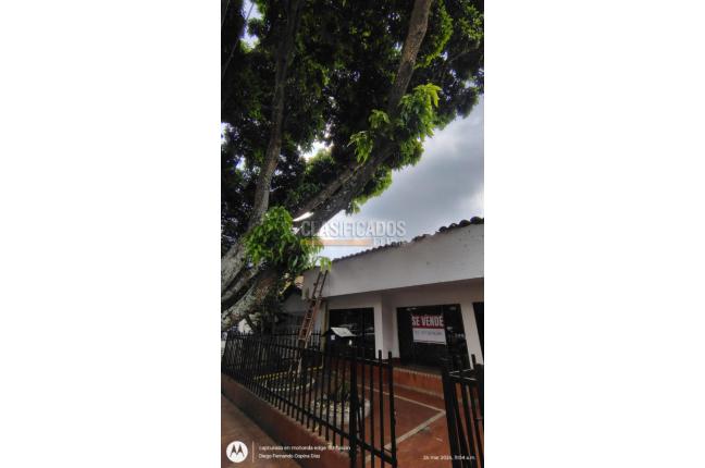 Casas, Alquiler, El Bosque - $3.000.000