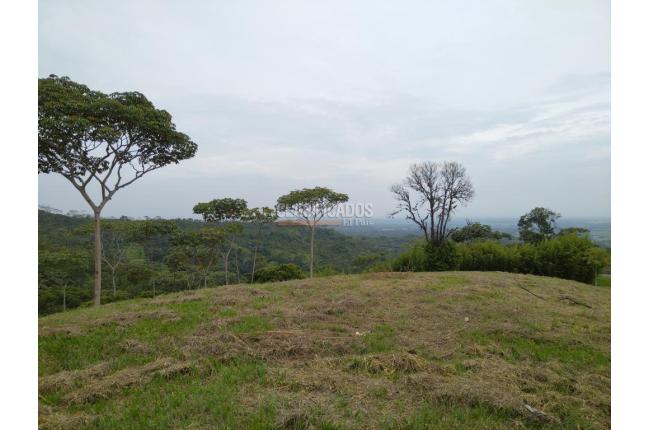 Lotes, Venta en Pance