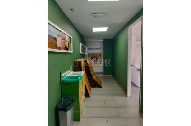 Oficinas y Consultorios, Alquiler, Pereira - $4.269.000