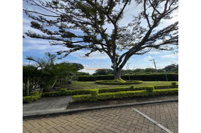 Casas, Venta en Ciudad Pacifica