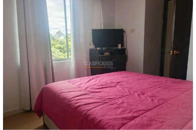 Apartamentos, Venta, Armenia - $248.000.000