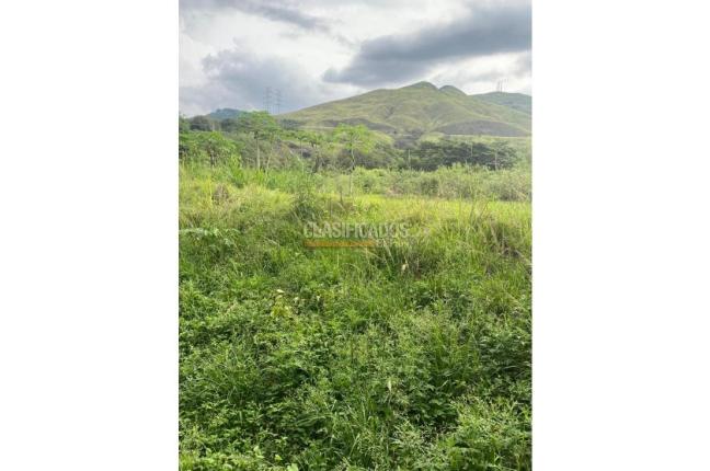 Lotes, Venta en La Campiña