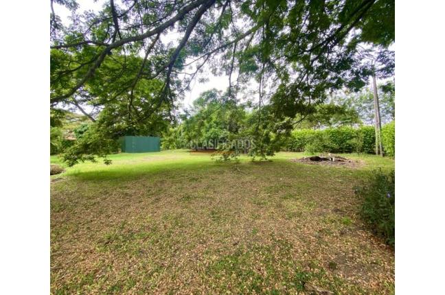 Lotes, Venta en Palmira