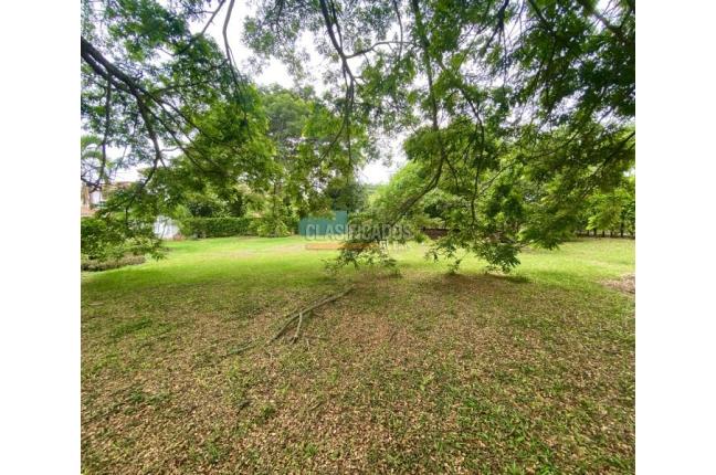 Lotes, Venta en Palmira