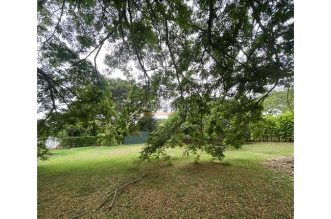Lotes, Venta, Palmira - $300.000.000