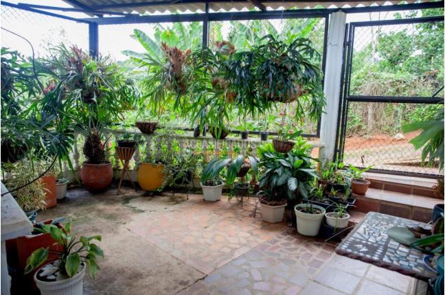 Fincas y Casas Campestres, Venta, Dagua - $450.000.000