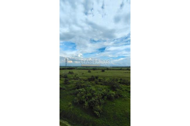 Apartamentos, Alquiler, Ciudad Pacifica - $1.600.000