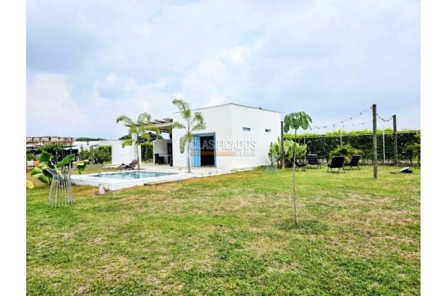 Lotes, Venta, Palmira - $590.000.000