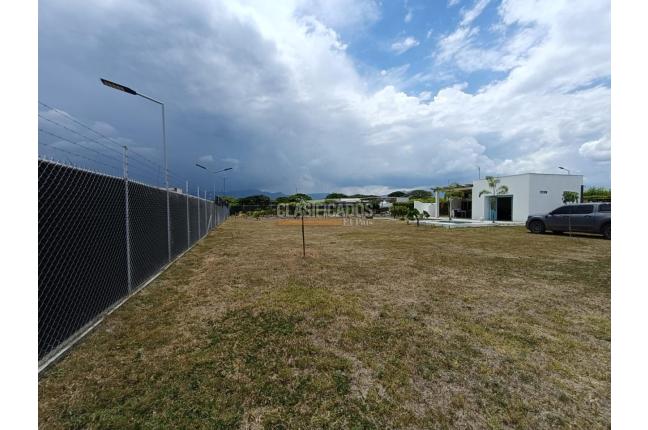 Lotes, Venta, Palmira - $590.000.000