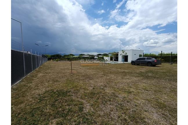 Lotes, Venta, Palmira - $590.000.000