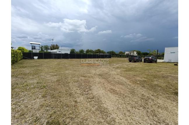 Lotes, Venta, Palmira - $590.000.000