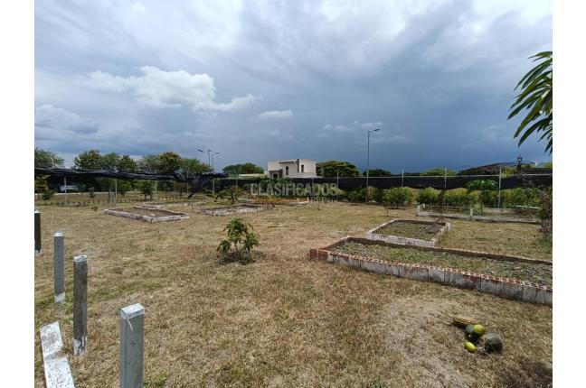 Lotes, Venta, Palmira - $590.000.000