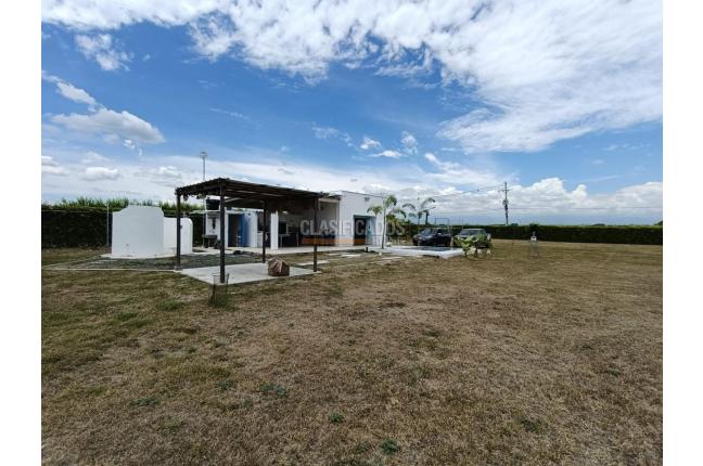 Lotes, Venta, Palmira - $590.000.000