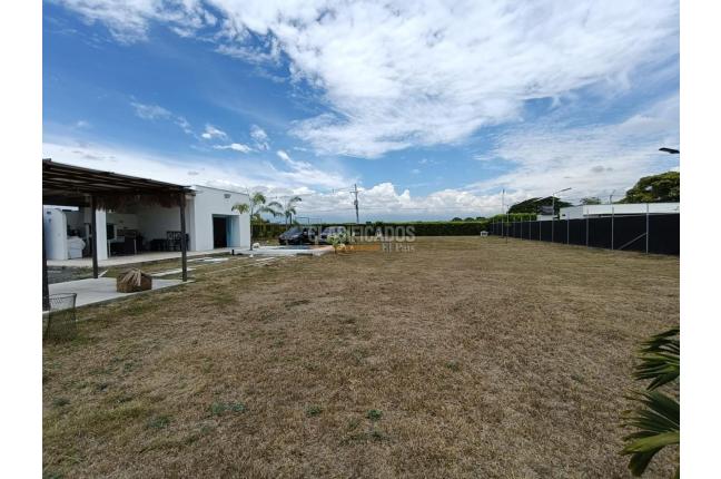 Lotes, Venta, Palmira - $590.000.000