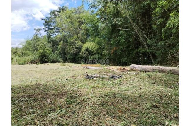 Lotes, Venta, Pereira - $980.000.000