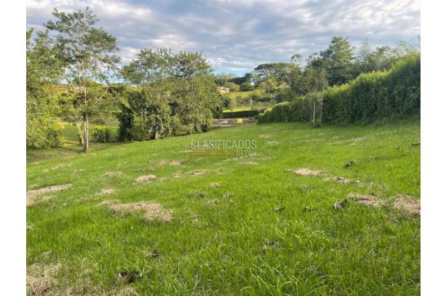 Lotes, Venta en Viterbo